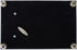 Cottage Garden First Communion God Beside You Matte Black Rope Trim Petite Music Box Plays Handel's Hallelujah...