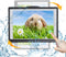Shower Tablet Holder Waterproof Compatible with Ipad, Wall Mounted Bathroom Tablet Case Rotation, Adhesive Touchable Cradle with Glass Mirror Anti...