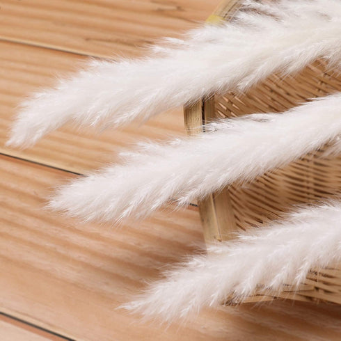 30 Pcs White Pampas Grass ,17 inch/45 cm Natural Dried Pampas Grass Branches Decor for Home Kitchen Garden Party Photographing Flower Arrangement ...