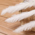 30 Pcs White Pampas Grass ,17 inch/45 cm Natural Dried Pampas Grass Branches Decor for Home Kitchen Garden Party Photographing Flower Arrangement ...