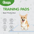 COCOYO Best Value Dog Training Pads Giant Size | Dog Pee Pads XXXL Size | Super Absorbent Puppy Pads (30" x 45", 30 Count) (XXXL)...
