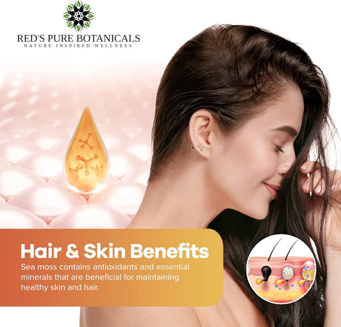 Wildcrafted Sea Moss - Healthy Irish, Raw Sea Moss from Rocks & Sea Beds of St. Lucia - 4oz Dry Makes 60-80oz Seamoss Gel - Hand-Harvested, Vegan ...