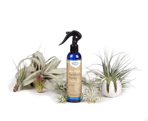 Air Plant Fertilizing Spray by Southside Plants - Fertilizer Mist for Houseplants, Weekly Plant Food - Gentle Mist Formula for Miracle Feed & Grow...