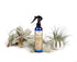 Air Plant Fertilizing Spray by Southside Plants - Fertilizer Mist for Houseplants, Weekly Plant Food - Gentle Mist Formula for Miracle Feed & Grow...