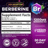 Berberine Supplement 1200mg, High Absorption Berberine Supplements Heart Health & Immune Support Berberine Supplement - Berberine HCL Supplement P...