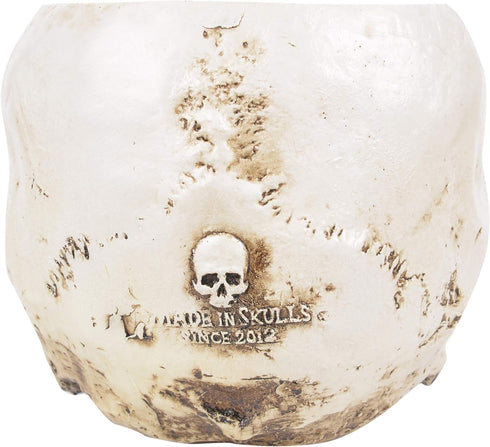 ChezMax Skull Planter Suger Holder Resin Flower Succulents Pot Skeleton Flowerpot Candy Bowl Halloween Dish Statue Sculpture Skeleton Indoor Outdo...