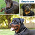 15.7 Inch Dog Choke Chain Collar, Dog Chain Collars, Choke Collar for Small&Medium Dogs Pet Training Walking Choker...