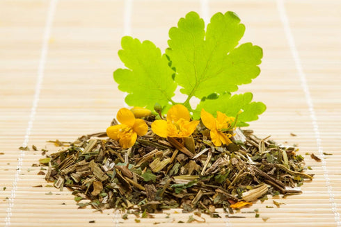 Health Embassy Greater Celandine Herb | Chelidonium Majus L | 100% Natural (50g)...
