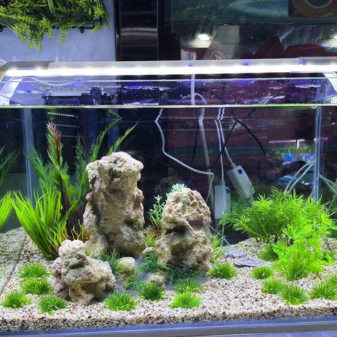 AQUA KT Aquarium Landscape Foreground Grass Seaweed Green Plants for Marine Freshwater Fish Tank Decoration, Pack of 10...