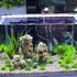 AQUA KT Aquarium Landscape Foreground Grass Seaweed Green Plants for Marine Freshwater Fish Tank Decoration, Pack of 10...