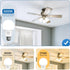 SHINESTAR A19 LED Light Bulb, 60W Equivalent Light Bulbs, E26 Base, 9W 5000K Daylight, 800 Lumens Non-Dimmable LED Bulb, 14000 Hour Lifetime, 6-Pa...