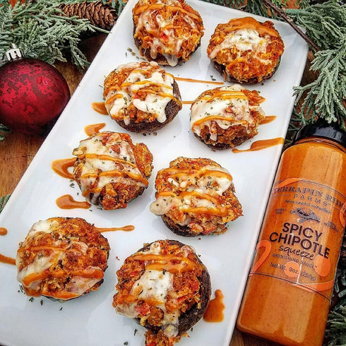 Terrapin Ridge Farms Gourmet Spicy Chipotle Garnishing Sauce - One 9 Ounce Bottle...