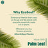 ECO SOUL Palm Leaf Bowls (20, Large 6" (16 Oz) | Round)...
