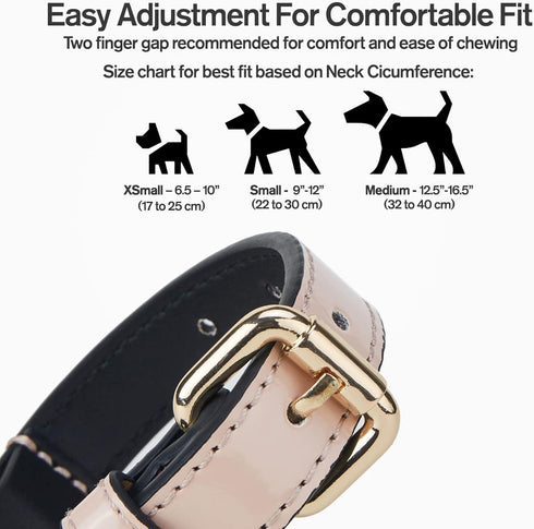 Scotch&Co Leather Pet Collars – Fiber Leather Pet Neckband with Elegant Chic Waxed Cotton Stitched Edges | Adjustable Brass Buckle | Suitable for ...