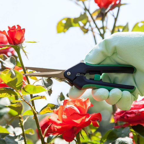 LDK Garden Pruning Shears Straight Tip Garden Trimming Scissors, Perfect Hand Clippers for Gardening and Small Plants...