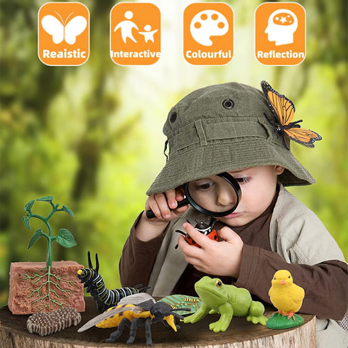 Montessori Life Cycle Animal Figures with Flash Cards, Realistic Animal Figurines Toy, Animal Educational Matching Game for 3+ year old Toddlers K...