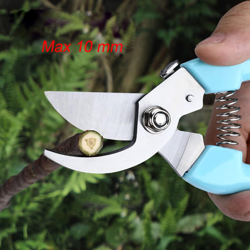 Curve Gardening Scissor with Sharp Stainless Steel Blade Garden Shears for Cutting Flowers Trimming Plants of Yard Florist Flower Rose Herb Hedge ...