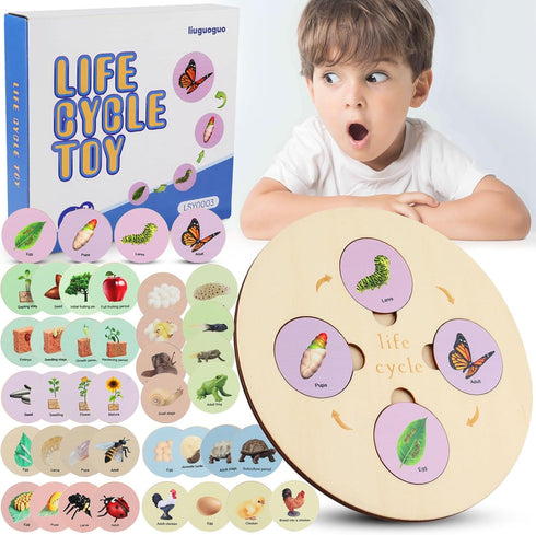 Life Cycle Toys for Kids, Learning & Educational Science Kits, Preschool Learning Toys for Toddler Age 3 4 5 6 7 8...