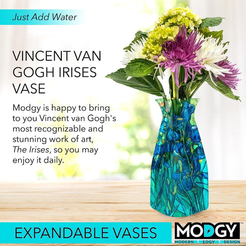 MODGY Expandable Flower Vase Plastic Decorative Modern Vases for Flowers Centerpieces Dining Table Decor Living Room Bathroom Wedding Office, Van ...