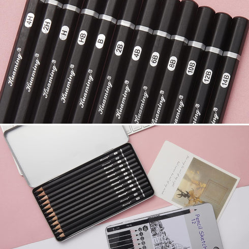 Sketch Pencils for Drawing,12 Pack Drawing Pencils, Graphite Pencils, Graphite Pencils for Drawing, Art Pencils for Drawing and Shading, Shading P...