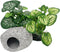 Smoothedo-Pets Aquarium Plants Betta Fish Tank Decorations 4inch/2pcs Soft Silk Artificial Plant Goldfish Waterscape Fish Hides Snake Tank/Reptile...