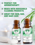 Ethereal Nature 100% Pure Oil, Spearmint, 1.01 Fluid Ounce...