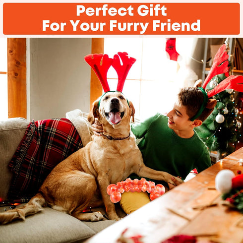 Dog Toys for Aggressive Chewers: Chew Toys for Training and Cleaning - Dog Toys for Large Dogs - Indestructible Dog Toy to Keep Them Busy...