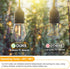 Mlambert LED String Light Bulbs,Shatterproof Outdoor String S14 Replacement Light Bulb,Waterproof 1W LED Edison Bulb Equal to 11W,15 Pack,Not Sola...