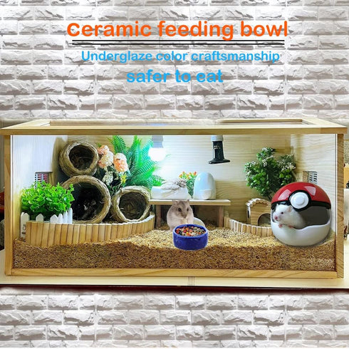 2 Pcs Hamster Ceramic Food Bowl Chew-Resistant Food and Water Dish for Hamster Rat Small Animals (Green and Purple)...