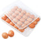 HANSGO Egg Holder for Refrigerator, Deviled Egg Tray Carrier with Lid Fridge Egg Dispenser Egg Storage Stackable Plastic Egg Containers