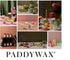 Paddywax Candles Haze Collection Incense Sticks in Glass Jar, 100-Piece, Cotton & Teak...