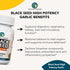 Amazing Herbs Whole Spectrum Black Seed & High Potency Garlic, Vegetarian Capsules - Gluten-Free, Non-GMO, Vegan, Supports Immune System, Lung Fun...