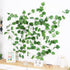 Elegant 38 Ft Autumn Artificial Grape Leaf Garland - 5 Strands, Highly Realistic Fall Decor for Weddings, Home, Parties, & Wall Display...