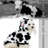 Cow pet Clothing, Small and Medium-Sized cat and Dog Clothing, Modeling Cow Role-Playing Dog and cat Clothing, Suitable for Spring, Autumn and Win...