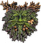 Nemesis Now Autumn's Reflection Tree Spirit Plaque, Hand-Painted Resin, Forest Guardian Wall Decor, 15.5cm...