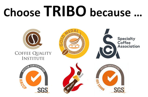 Tribo Coffee Single-Serve Portable Pour Over Drip Coffee - Papua New Guinea - 10 Servings (Medium-Dark Roast)...