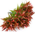 Artificial Flowers 8PCS Fake Red Spray Morning Glory Plants Shrubs Greenery Bouquet for Your Home Kitchen Table Centerpieces Arrangements Indoor O...