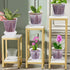 Plant Pots for Indoor Plants, 6 Pack 6.4/5.5/4.7in Clear Plastic Planter with Drainage Holes and Saucers for Orchid, African Violet, Spider Plant,...