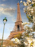 DIY 5D Diamond Painting Kits for Adults Full Drill Diamond Painting Eiffel Tower Paris France Romantic City Landscape for Home Wall Decor for Gift...