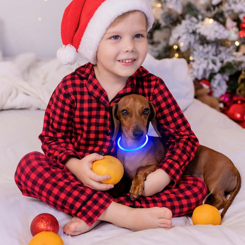 Led Dog Collars for Small Dog,Vizpet XS Light up Adjustable Collar USB Rechargeable Bright Safety Pet Collar for Cats Dogs(Blue)...