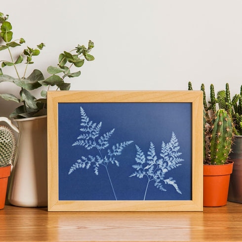 32 Sheets Sun Print Paper Cyanotype Paper Kit, A5 Sun Art Paper With 1 Plastic Tool for Sun Printing, Light Sensitive Solar Photography Paper for ...