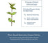 Eclectic Herb - Nettle Quercetin Capsules | Non-GMO, Vegan | 90 CT...
