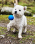 Chuckit! Crunch Ball Dog Toy, Medium (Pack of 2)...