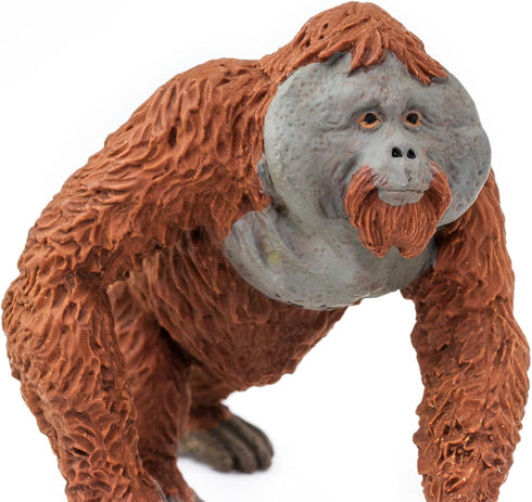Safari Ltd. Male Orangutan Figurine - Lifelike 4.25" Hand-Painted Wildlife Figure - Educational Toy for Boys, Girls & Kids Ages 3+...