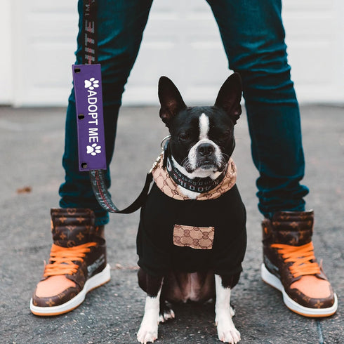 Rescue Dog Leash Sleeve Adopt Me Dog Leash Wrap Pet Adoption Patch (Adopt Me)...