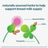 UpSpring Milkflow Electrolyte Breastfeeding Supplement Drink Mix with Fenugreek | Chocolate Flavor | Lactation Supplement to Promote Healthy Breas...
