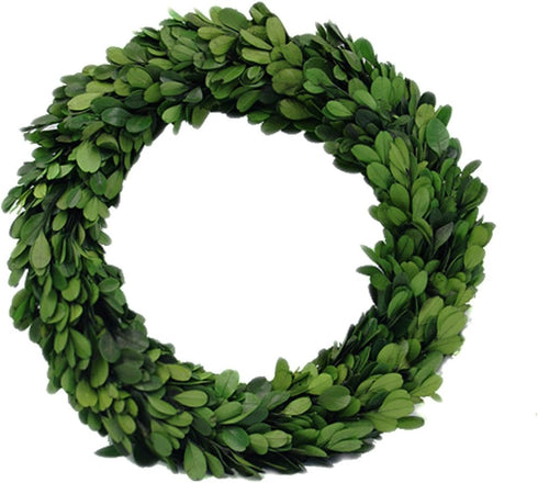 Preserved Garden Boxwood Round Wreath 10" By COCOMIA...