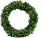 Preserved Garden Boxwood Round Wreath 10" By COCOMIA...