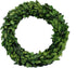 Preserved Garden Boxwood Round Wreath 10" By COCOMIA...