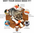 Dog Chew Toys for Aggressive-Chewers - Indestructible Dog Toy for Aggressive Chewer?Tough Chew Toys for Dogs ?Rubber?...